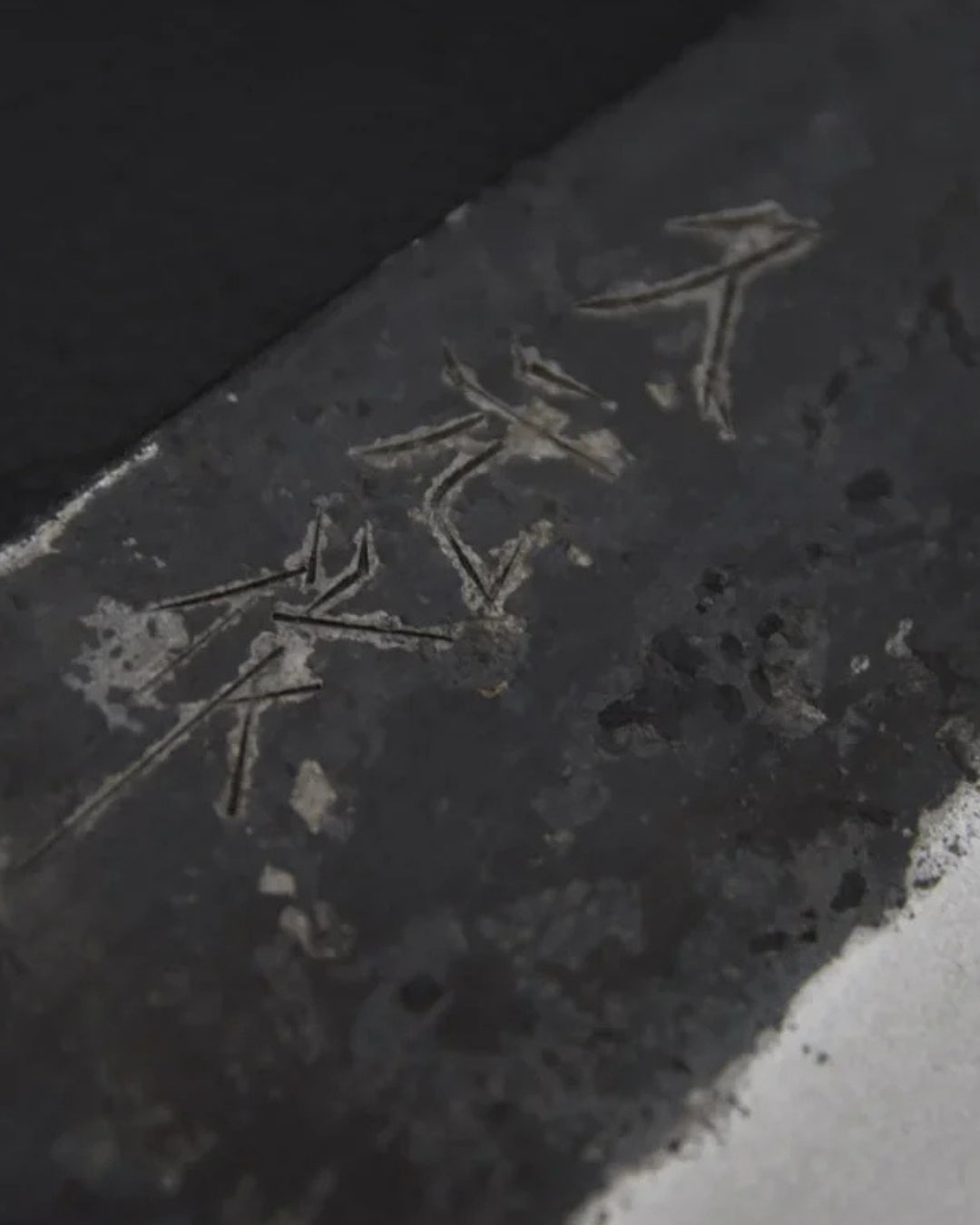 Couteau japonais Morihei Hisamoto Kurouchi Shirogami #2 Extra Height Gyuto 210mm Keyaki Zelkova